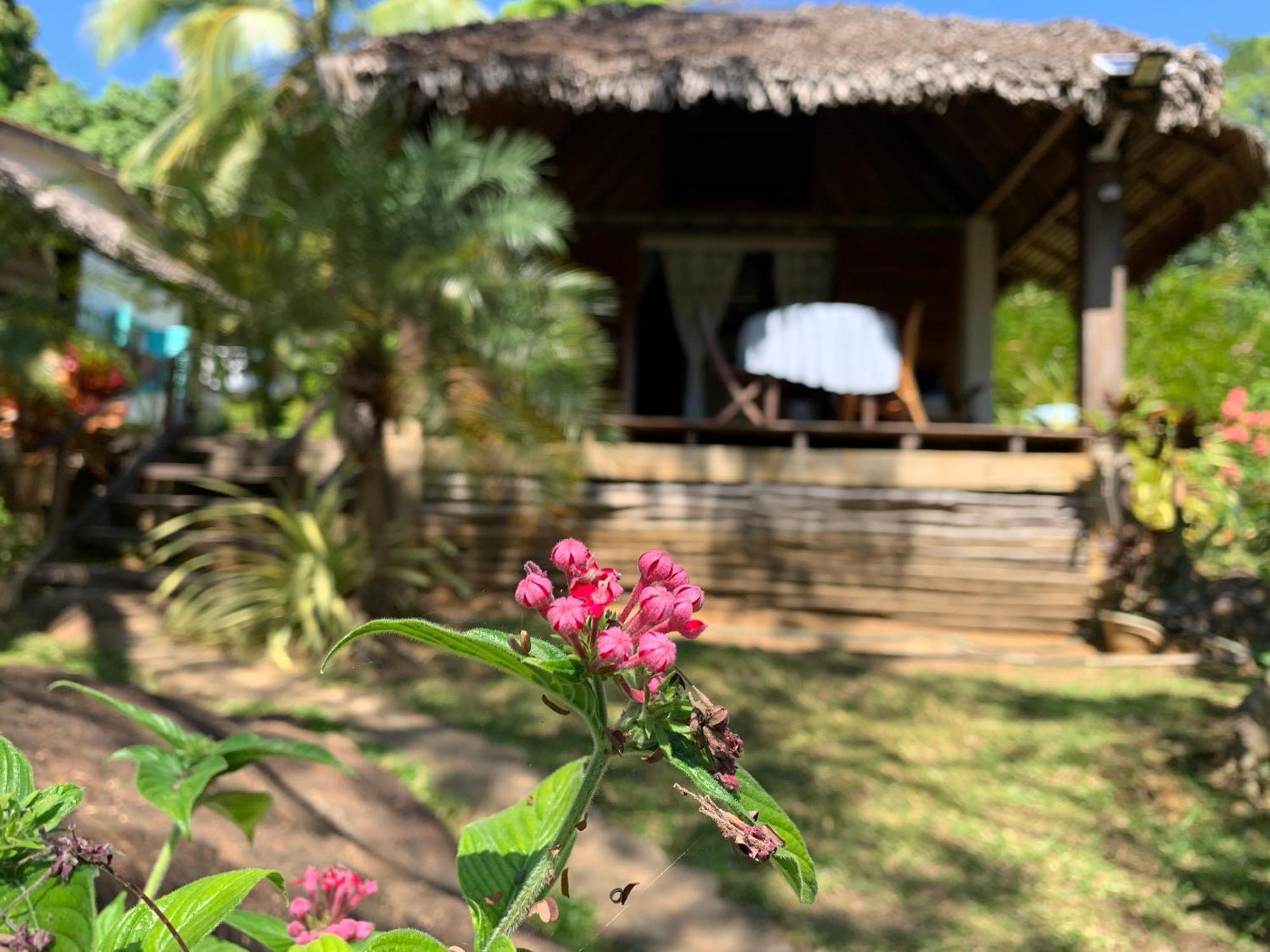 Bed and Breakfast Les Jardins D'Ankify Andimaka Экстерьер фото