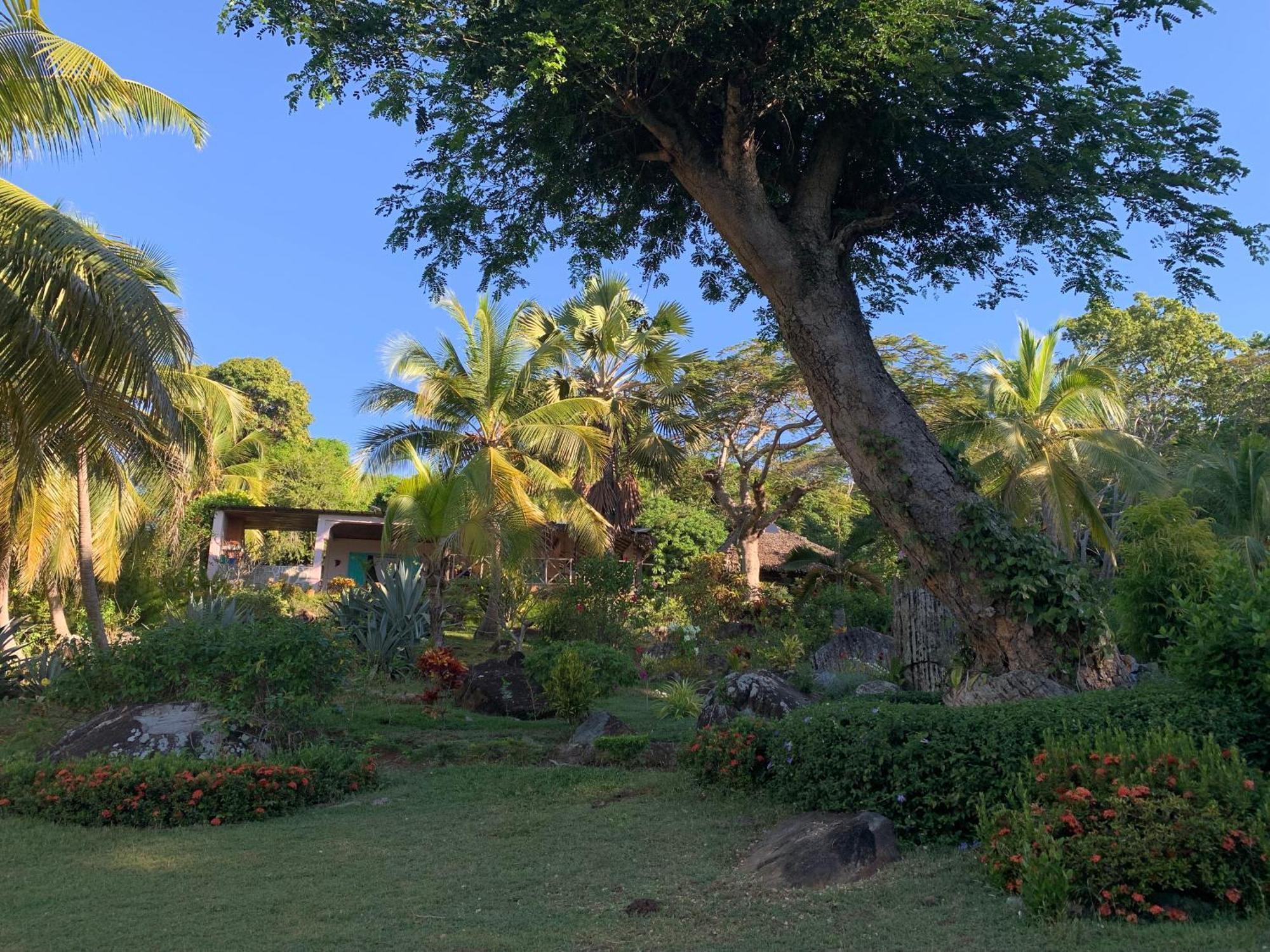 Bed and Breakfast Les Jardins D'Ankify Andimaka Экстерьер фото