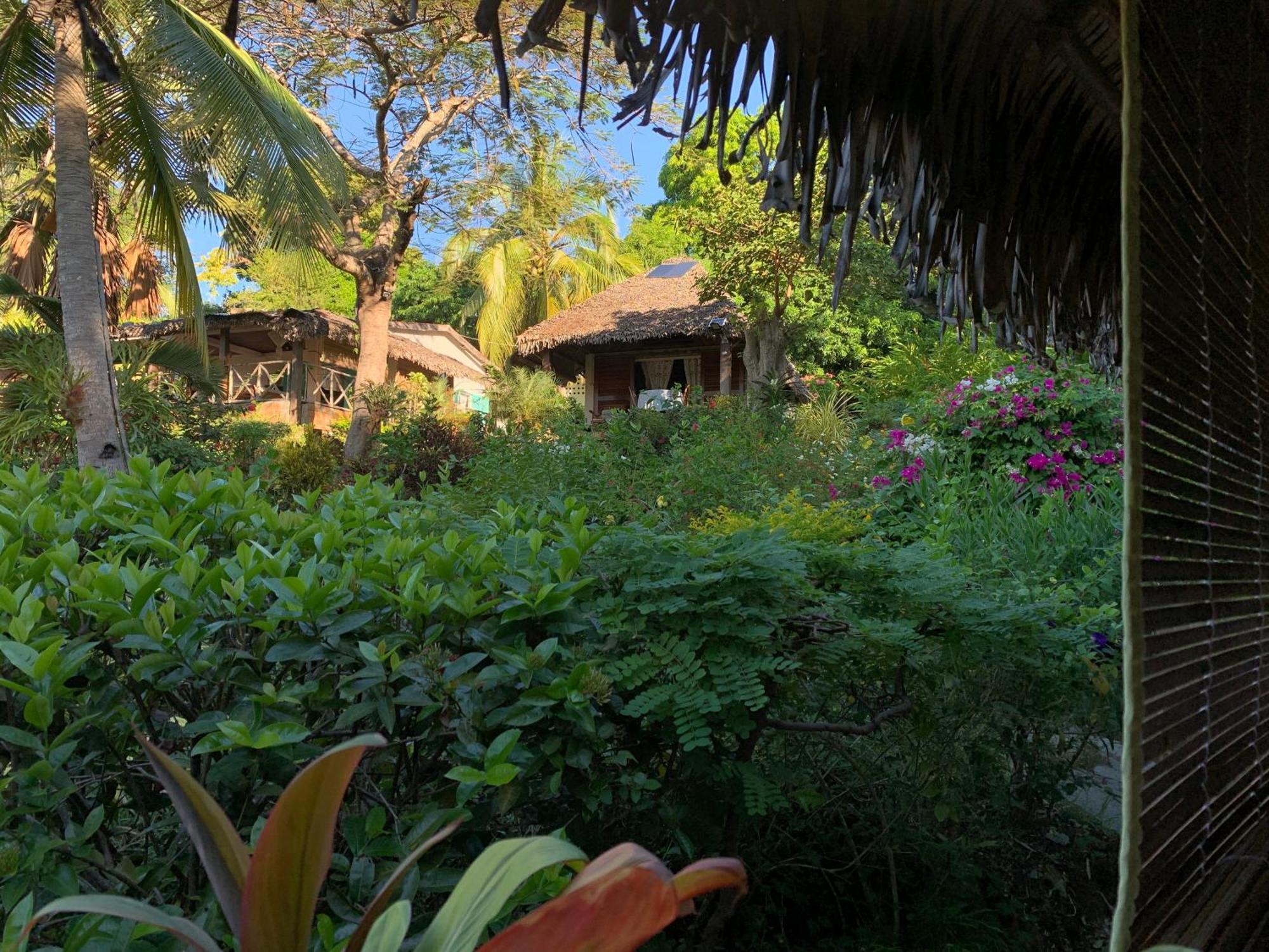 Bed and Breakfast Les Jardins D'Ankify Andimaka Экстерьер фото