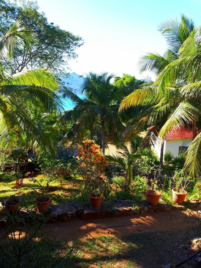 Bed and Breakfast Les Jardins D'Ankify Andimaka Экстерьер фото