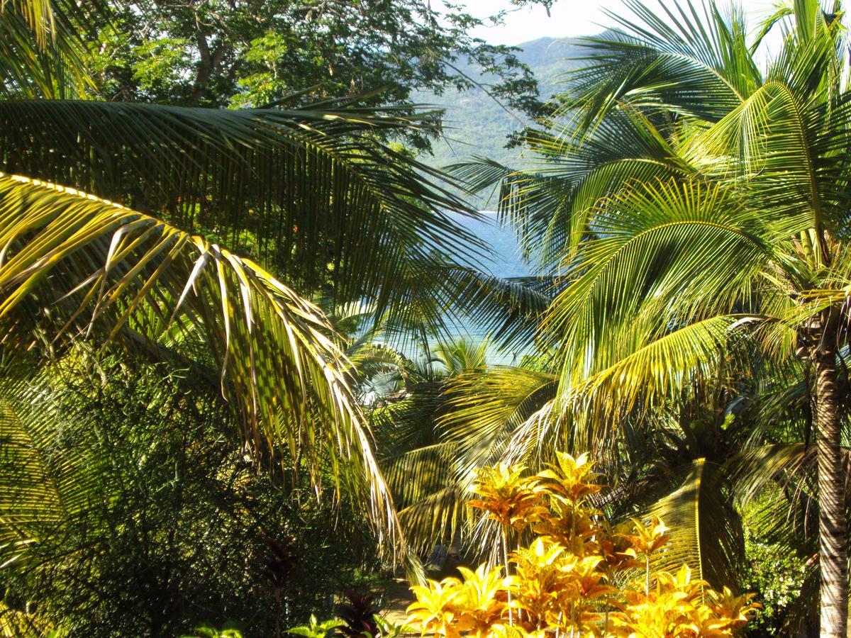 Bed and Breakfast Les Jardins D'Ankify Andimaka Экстерьер фото